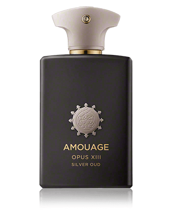 Amouage Library Collection Opus XIII Zilver Oud Eau de Parfum Nevel (100 ml)