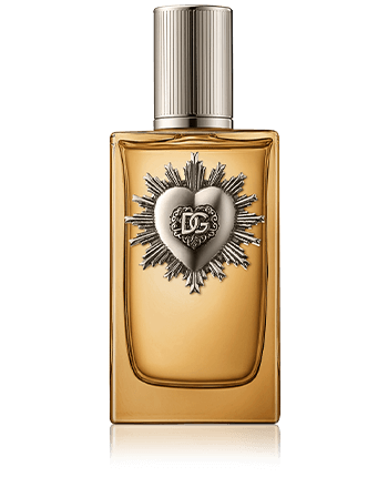Dolce & Gabbana Devotion pour Homme Parfum Spray (100 ml)