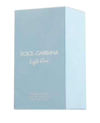 Dolce & Gabbana Light Blue pour Homme Eau de Toilette Spray (100 ml)