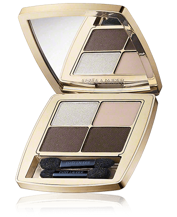 Estée Lauder Pure Color Envy Luxe EyeShadow Quad 05 Grey Haze (6 g)