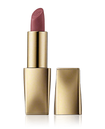 Estée Lauder Pure Color Matte Lipstick 806 No Concessions (3,5 g)