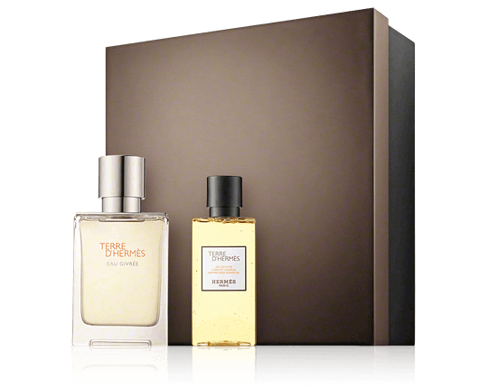 Hermès Terre d'Hermès 50 ml EdP Eau Givrée Set met Douchegel