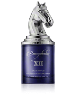 Armaf Bucephalus Nr. XII Eau de Parfum Spray 100 ml