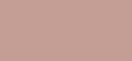All In One Cover Stick 5 Sahara Rose/Neutral