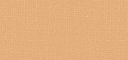 Camouflage Cream 08 Beige Apricot