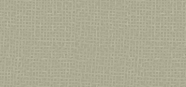 Eye Shadow Pearl Colors 39 Pearly Light Pine Green