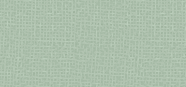 Eye Shadow Pearl Colors 55 Pearly Mint Green