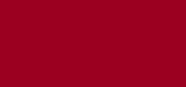 Luxe Matte Liquid Lipstick 878 Red Carpet