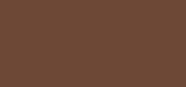 Even Better Makeup SPF 15 CN 127 Truffle