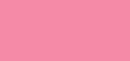 Vernis Cruise