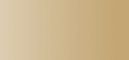 easyvapo Gold