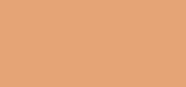 Flawless Finish 10 Honey Beige