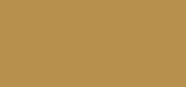 Double Wear Stay-in-Place Makeup SPF 10 4W2 Toasty Toffee