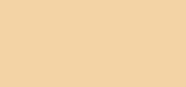 Double Wear Stay-in-Place Makeup SPF 10 1W0 Warm Porcelain