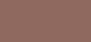 Eye Tint 10 S Chestnut