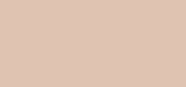 Eye Tint 12 S Shell
