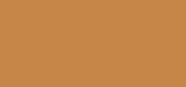 Dream Tint Medium
