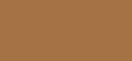 Dream Tint Medium Dark