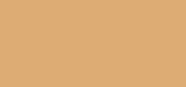 Dream Tint Medium Light