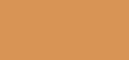 Dream Tint Warm Bronze