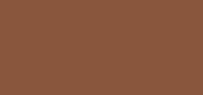 Teint Idole Ultra Wear Shape Stick Foundation 510 Suède C 10 Praline