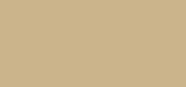 M2 Brows Blonde