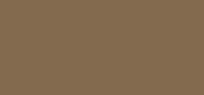 Microblading Pen Warm Brown