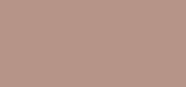 Pro Color Vanilla Rose
