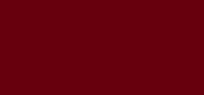 Nailcolor Dark Red Violet