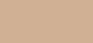 Nailcolor zand