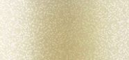 Classics Gliterally Shimmer