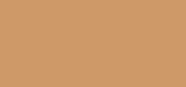 Total Finish TF 204,5 Amber Beige