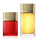 Cartier Must de Cartier
