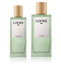 Loewe Aire Sutileza