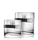 Salvatore Ferragamo F by Ferragamo Black