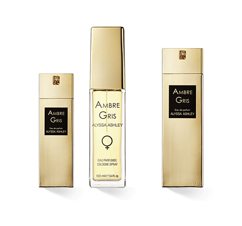 Alyssa Ashley Ambre Gris